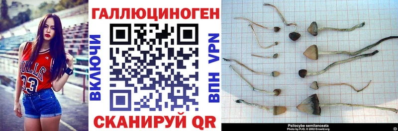 Галлюциногенные грибы ЛСД Котлас