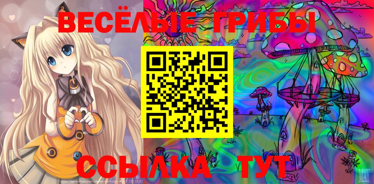 Галлюциногенные грибы Cubensis Котлас