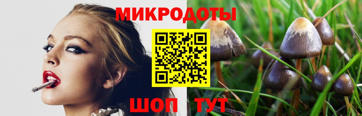 Галлюциногенные грибы Magic Shrooms  Вход с VPN  Котлас 