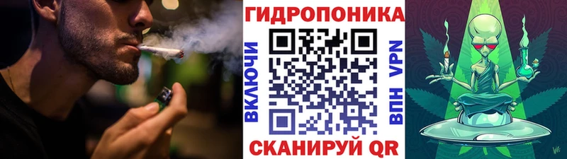 Бошки Шишки AK-47  Котлас 